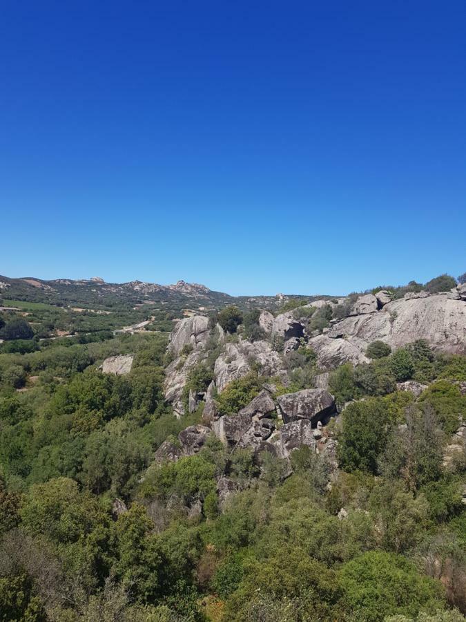 Appartamento Monte Mare Арцахена Екстериор снимка
